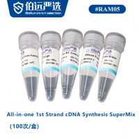 All-in-one 1st Strand cDNA Syn