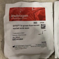 Invitrogen货号S7578现货SYTO 16绿色荧光