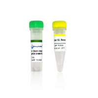 茎环法miRNA RT-qPCR试剂盒：Stem-loop