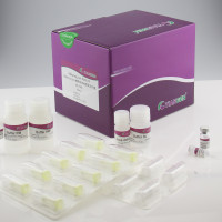 hsa-miR-139-5p