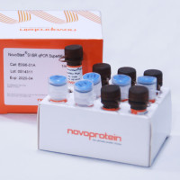 荧光定量试剂盒 NovoStart® SYBR qPCR S
