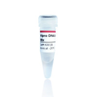 高保真组装克隆：Hipro DNA Assembly Clo