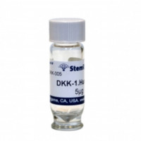 StemRD DKK-100DKK-1,human Dick