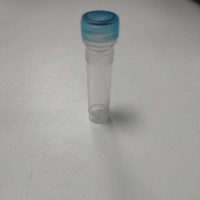 乙醇脱氢酶