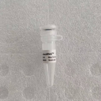 InvivoRNA™动物体内转染试剂