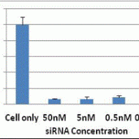 RFect Transfection Reagent