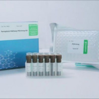 铁死亡信号通路PCR阵列试剂盒（Ferroptosis Pa