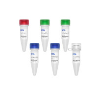 ATG® Universal HTS DNA Library