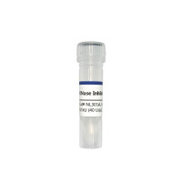 Rnase Inhibitor