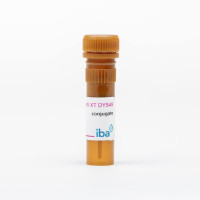Strep-Tactin®XT DY-549 conjuga