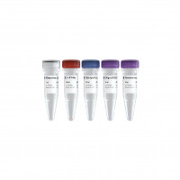 HiScript II 1st Strand cDNA Sy