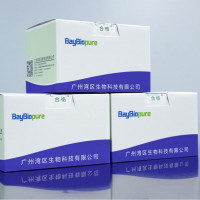 BayBiopure磁珠法DNA纯化回收试剂盒