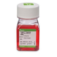 TrypLE™ Express 酶 (1X)，含酚红