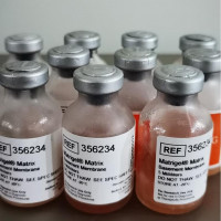 康宁Matrigel®基底膜基质，低生长因子，高浓度