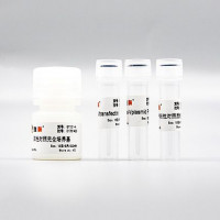 GY101 快速慢病毒包装试剂盒