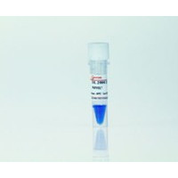DL2000 DNA Marker