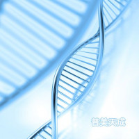 Super Green绿色荧光核酸染料（10,000× 水溶