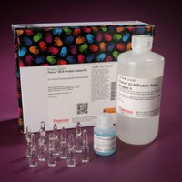 Pierce™ BCA Protein Assay Kit