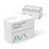 粒曼LM Easy KO™ 敲除试剂盒（RNP法）