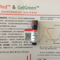 Biotium GelGreen 核酸凝胶染料 正品行货 原