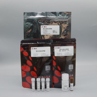 ZC101 蛋白过表达试剂盒