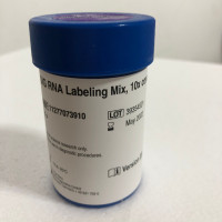 Roche_11277073910上海睿安生物DIG RNA