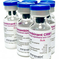 CRM197 diphtheria toxin mutant