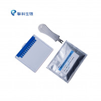 FastPAGE Precast Gel FastPAGE蛋