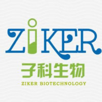 炭疽杆菌检测试剂盒（实时荧光PCR法）