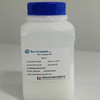 进口美国 GST Hongrose 6FF