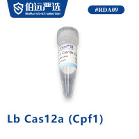 Lb Cas12a（Cpf1）