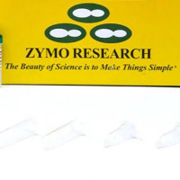 Zymo Research货号D5031现货EZ DNA M