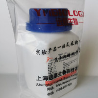酵母抽提酶