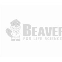 海狸BEAVER T7 DNA连接酶 80107H L