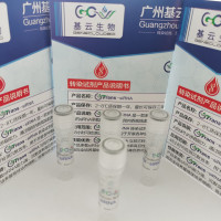 GCTrans-siRNA转染试剂