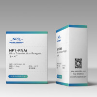 NP1-RNAi Ultra-transfection Re