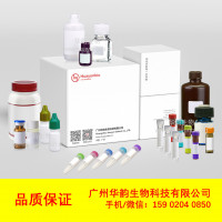 50 x Buffer TAE（DNase/RNase Fr
