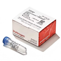 Invitrogen™ Lipofectamine™ RNA