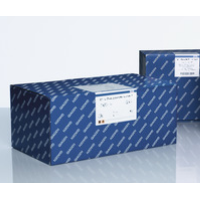 51604  QIAamp Fast DNA Stool