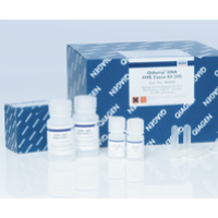 56404 QIAamp DNA FFPE Tissue