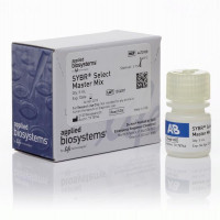 SYBR® Select Master Mix, 1-Pac