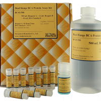 Dual-Range BCA Protein Assay K