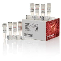 18080051 ThermoFisher SuperSc