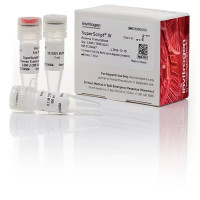 Thermo SuperScript IV 反转录酶 Inv