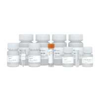 FastPure EndoFree Plasmid Mini