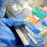 Human Endogenous Retroviruses