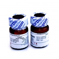 胶原蛋白酶, Type 4 现货,Collagenase,