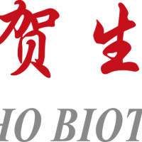 胶原纤维系列 collagen1