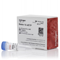 Biotin-14-dCTP dCTP类似物