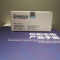 siRNA 干扰套装 E